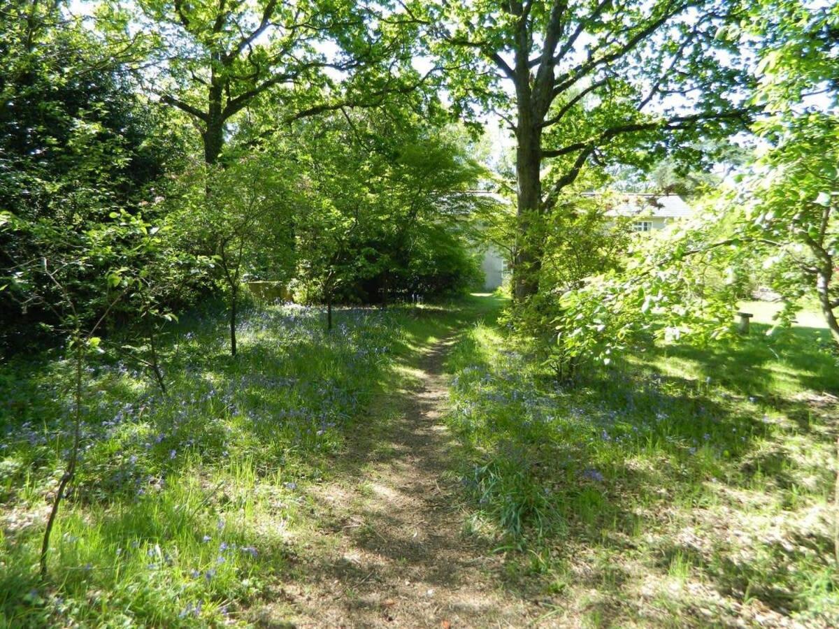 River Cottage A Country Retreat In Wooded Gardens East Stoke  Εξωτερικό φωτογραφία