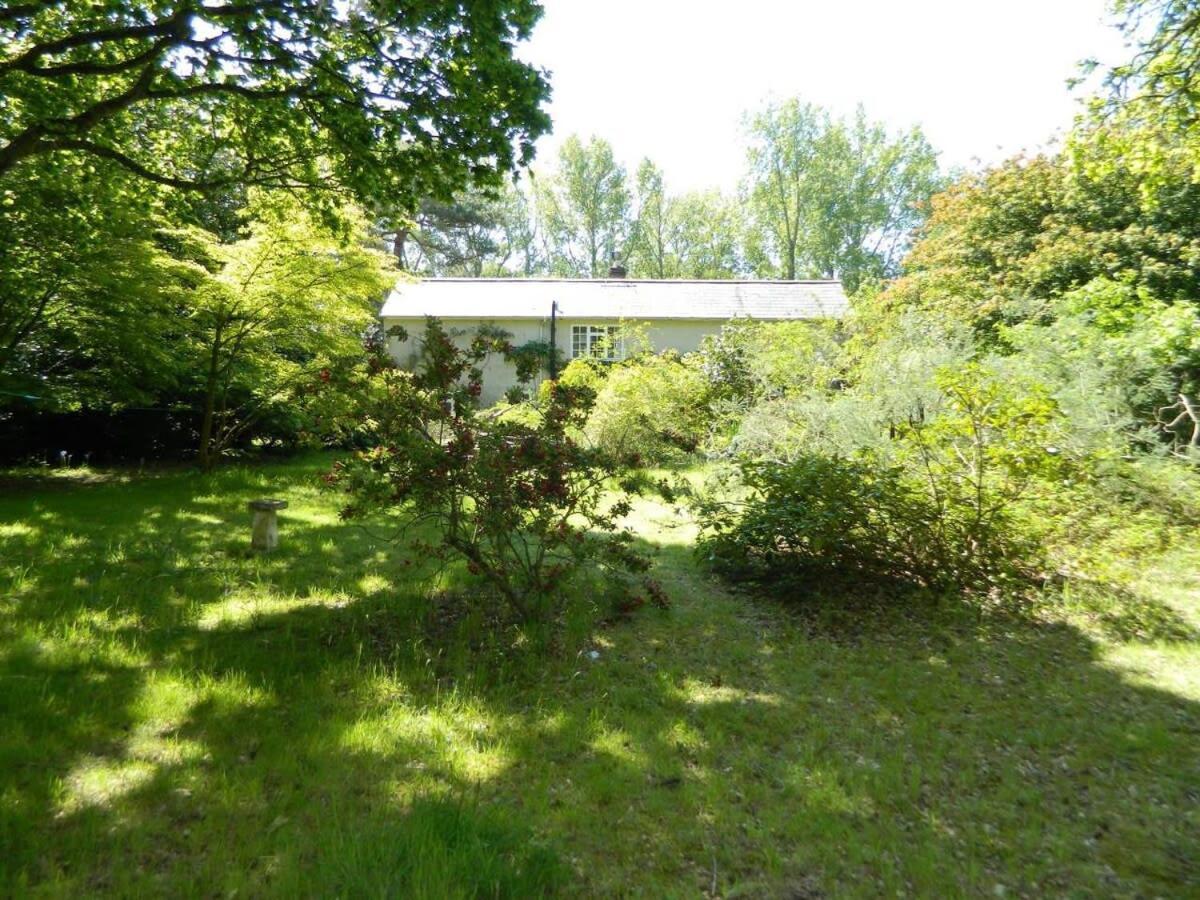 River Cottage A Country Retreat In Wooded Gardens East Stoke  Εξωτερικό φωτογραφία