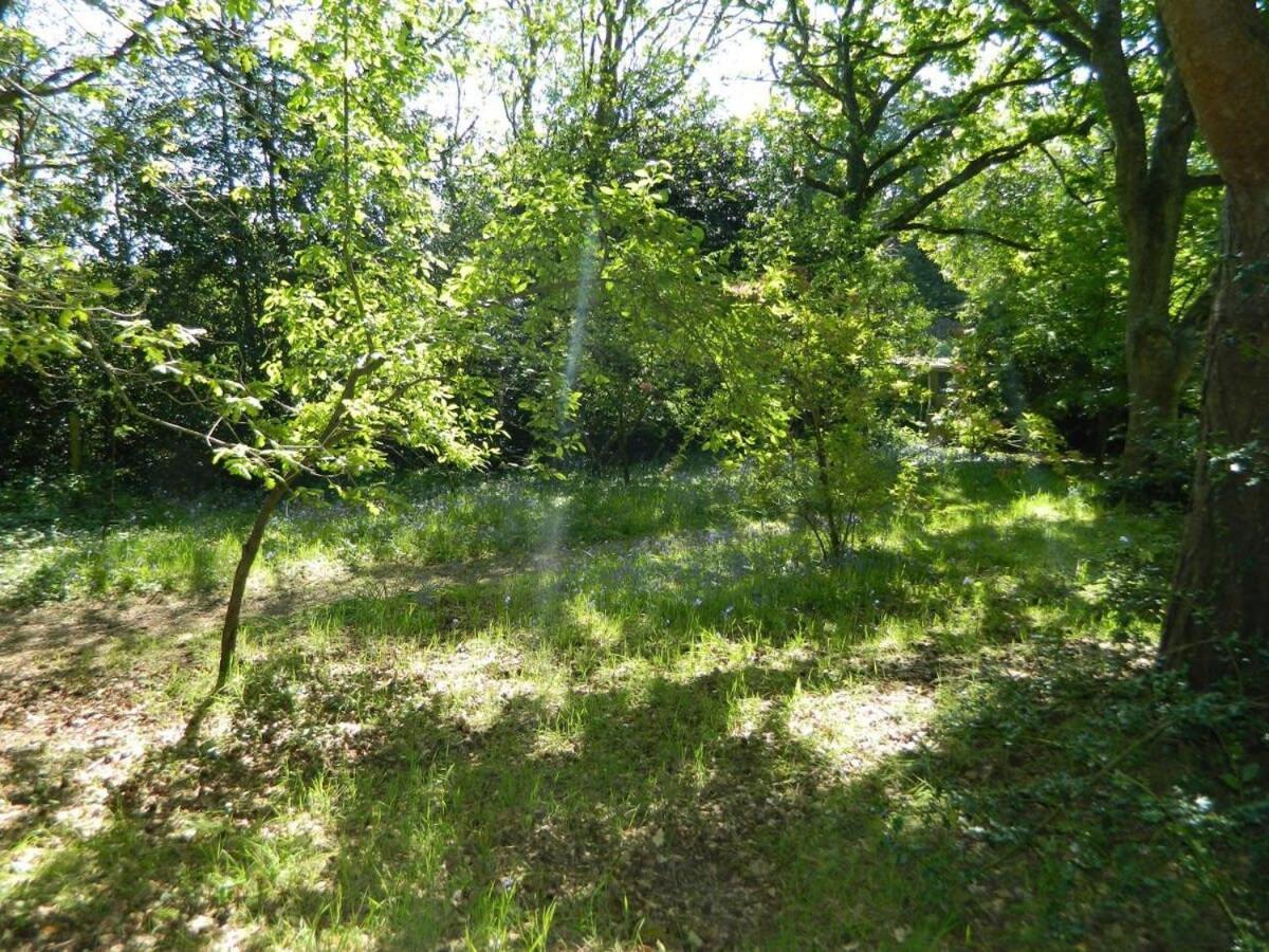 River Cottage A Country Retreat In Wooded Gardens East Stoke  Εξωτερικό φωτογραφία